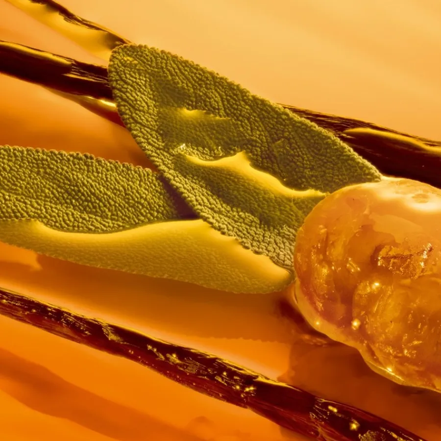 Luxe Herenparfum|Luxe Damesparfum^Armani Eau de Toilette Spray, Stronger With You