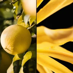 Herenparfum|Damesparfum^GUERLAIN Eau de Toilette Spray, Terracotta