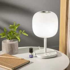 Geurdiffusers^Primavera Emotie aroma licht