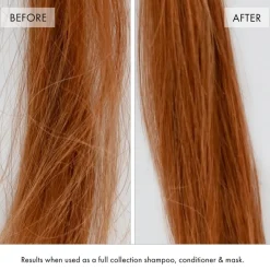 Haarolie^Fekkai Everstrong Olie