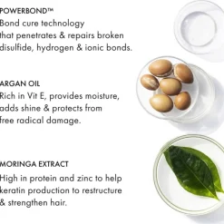 Haarolie^Fekkai Everstrong Olie