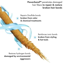Haarolie^Fekkai Everstrong Olie