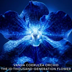 Dagcrème|Antirimpelcrème^GUERLAIN Exceptional Complete Longevity Care Rich Cream