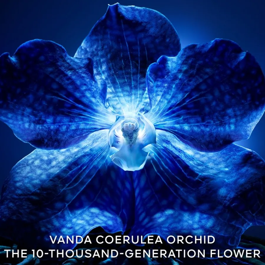 Dagcrème|Antirimpelcrème^GUERLAIN Exceptional Complete Longevity Care Rich Cream