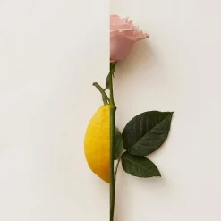 Niche Herenparfums|Niche Damesparfums^New Notes Extrait de Parfum