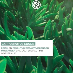 Gezichtsverzorging|Hydraterend Serum^Yves Rocher 100H Non-Stop Hydraterend Serum