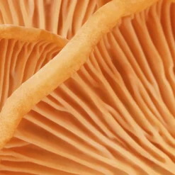 Heren|Oogverzorging^MÁDARA HIS Eye Cream