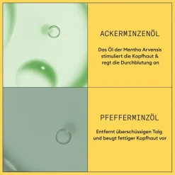 Conditioner Voor Beschadigd Haar^Nioxin Hoofdhuid Therapy Revitaliserende Conditioner, Natuurlijk haar progressieve uitdunning