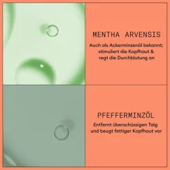 Conditioner Voor Beschadigd Haar|Gekleurd Haar^Nioxin Hoofdhuid Therapy Revitaliserende Conditioner, Gekleurd haar Gevorderde uitdunning