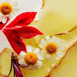 Gezichtscrème^Erno Laszlo Kalmerende hydraterende lotion