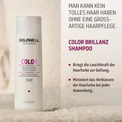 Haarverzorgingsset|Spraybehandeling^Goldwell Kleur Brillance Kerstmis Set 2025