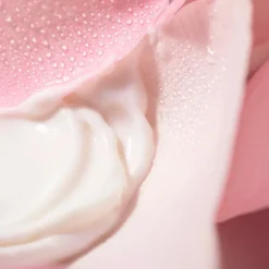 Lichaamsverzorging|Gezichtsverzorging^Nuxe Lichaamsmelk