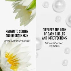 Concealer^bareMinerals Originele vloeibare minerale camouflagestift