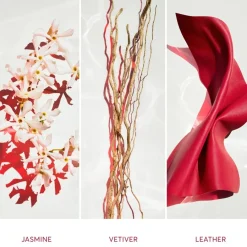 Bloemig Parfum|Damesparfum^Hugo Boss Parfum