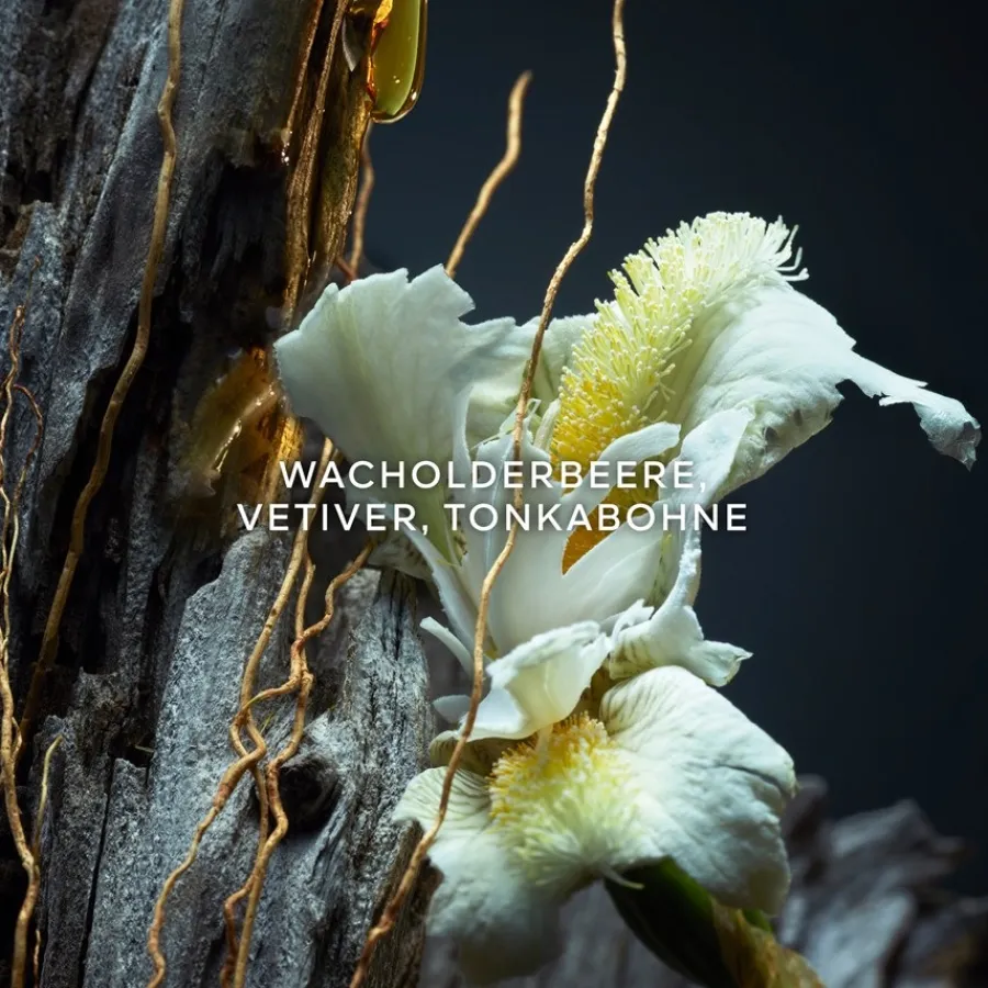 Herenparfum^GUERLAIN Parfum