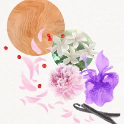 Damesparfum^Annayake Parfum