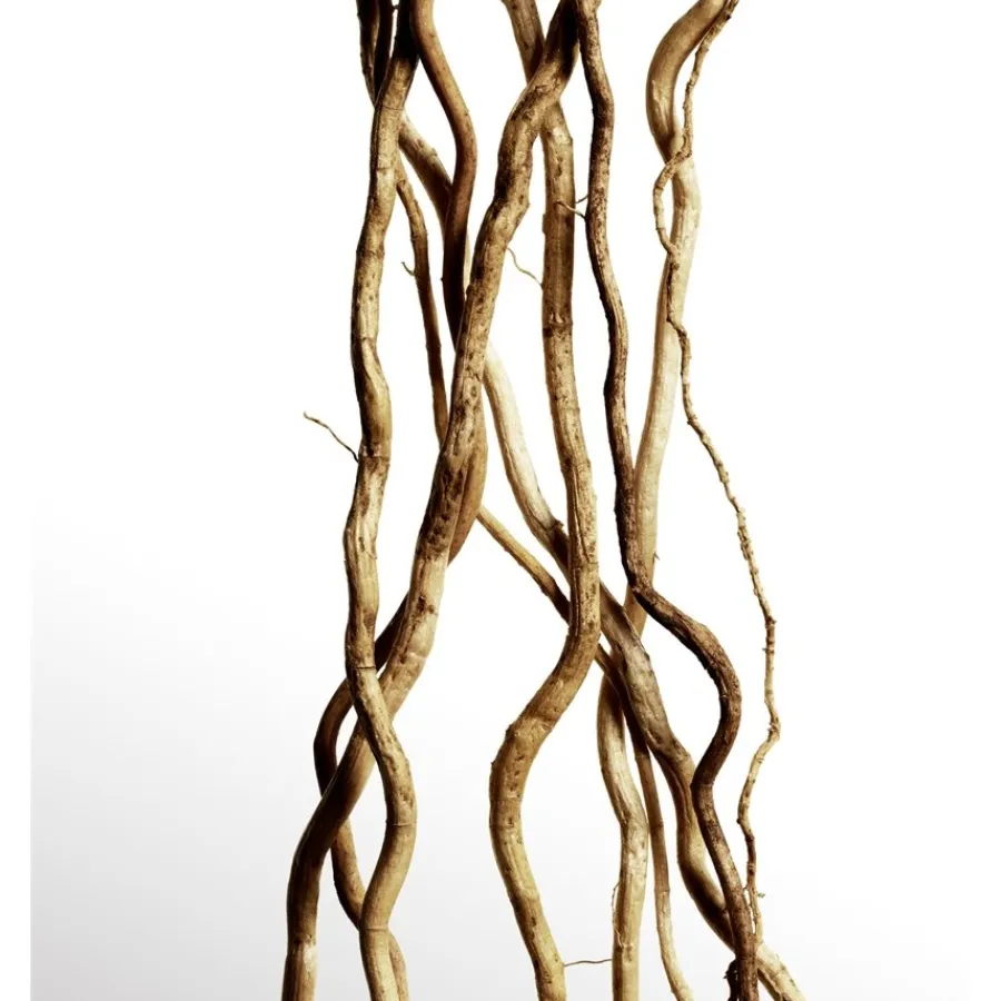 Herfstgeuren|Herenparfum^Davidoff Parfum