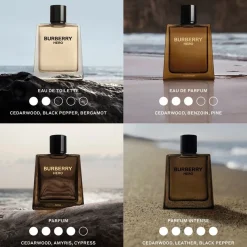 Herenparfum^Burberry Parfum Intense