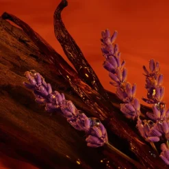 Luxe Herenparfum|Luxe Damesparfum^Armani Parfum Spray, Absolutely