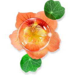 Anti-Agingserum|Antirimpelcrème^Annayake Perfecting Serum Anti-Wrinkle - Firmness