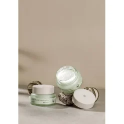 Dagcrème|Antirimpelcrème^Mizon Phyto Plump Collageen Dagcrème