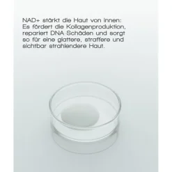 Anti-Agingserum^MERME Berlin Pore and Line Refine Face Serum