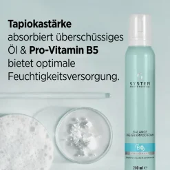 Droog Haar|Pre-Shampoo^System Professional Lipid Code Pre-Shampoo Schuim