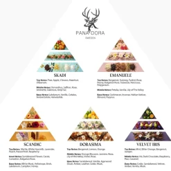 Herenparfum|Damesparfum^Pana Dora Sweden Reisset, Turkoois