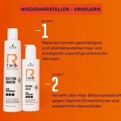 Gekleurd Haar|Droog Haar^Schwarzkopf Professional Renewal verzegeling