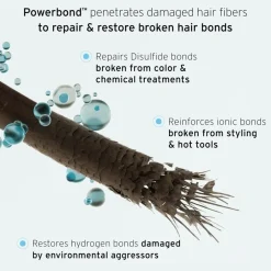 Hydraterende Haarbehandeling^Fekkai Repair Mask