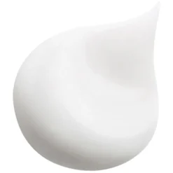 Smoothing Shampoo^HAIR RITUEL by SISLEY Revitaliserende gladmakende shampoo met macadamia-olie