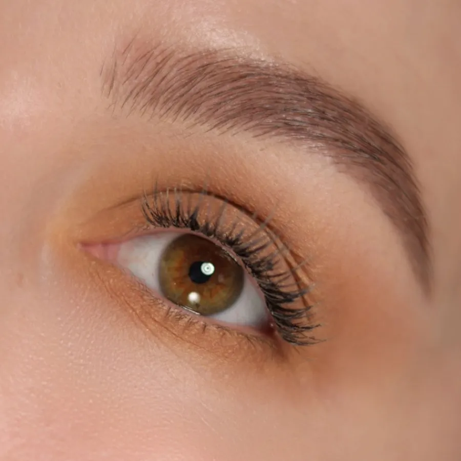 Oogschaduw^Lord & Berry Seta Oogschaduw