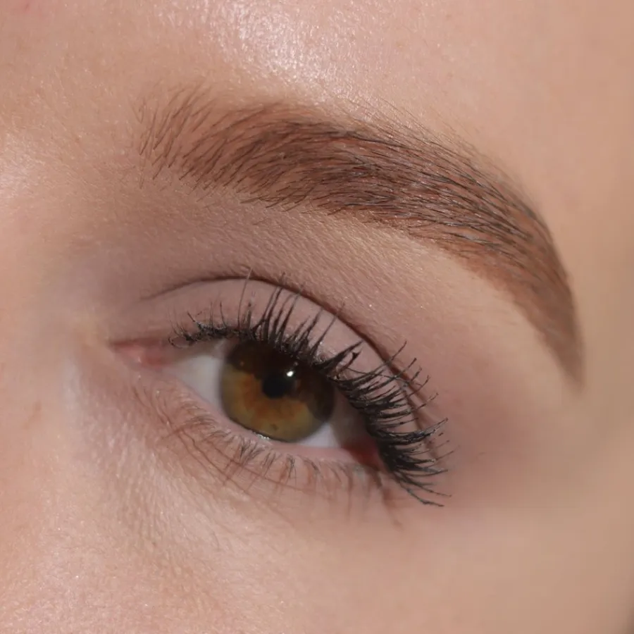 Oogschaduw^Lord & Berry Seta Oogschaduw