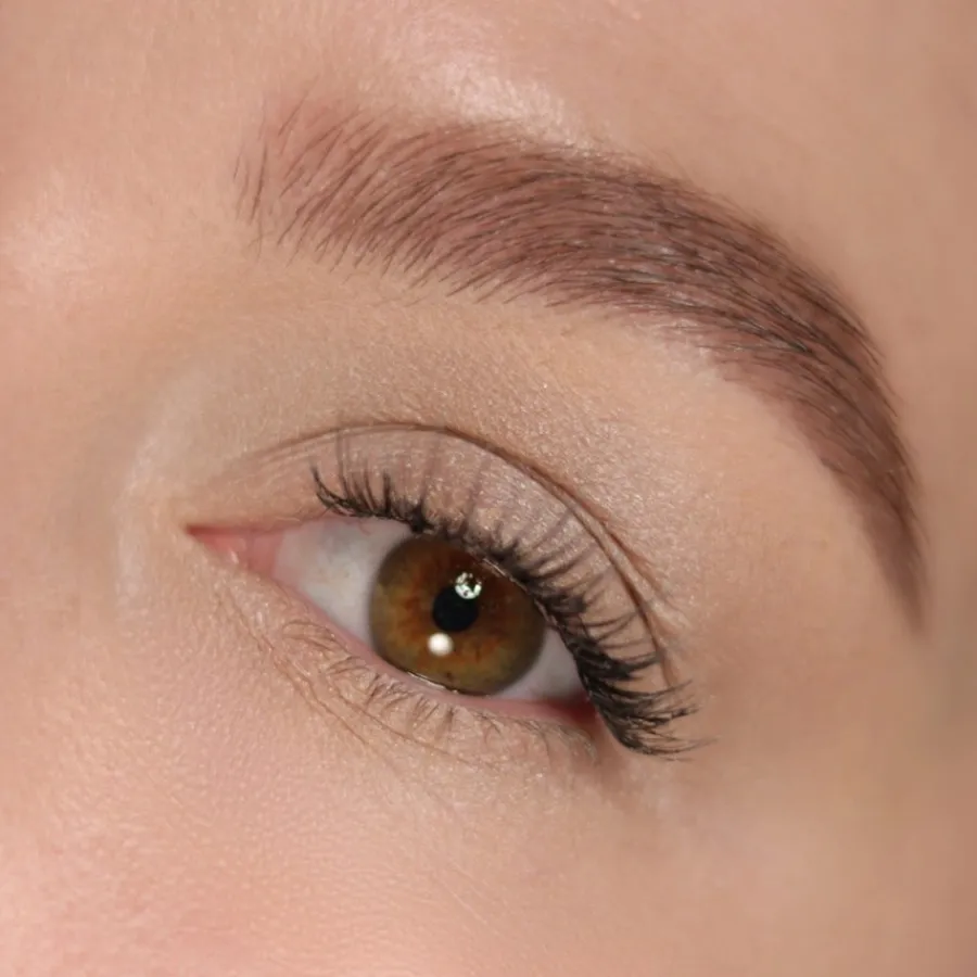 Oogschaduw^Lord & Berry Seta Oogschaduw