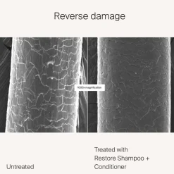 Droog Haar^Living Proof Shampoo