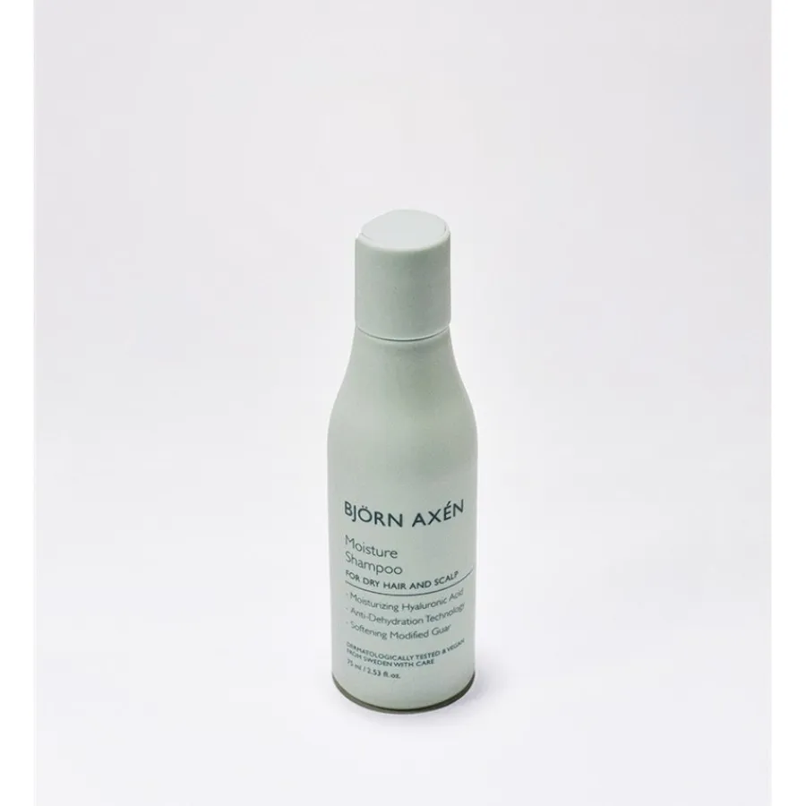 Droog Haar^Björn Axén Shampoo