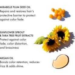 Gekleurd Haar^Fekkai Shampoo