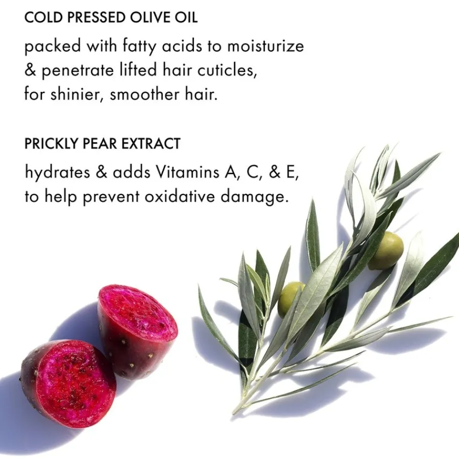 Gekleurd Haar^Fekkai Shampoo