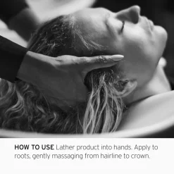 Gekleurd Haar^Fekkai Shampoo