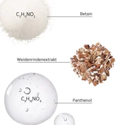 Droog Haar^System Professional Lipid Code Shampoo B1