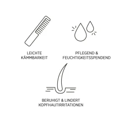 Droog Haar^System Professional Lipid Code Shampoo B1