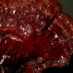 Antirimpelcrème|Gezichtscrème^BABOR Stressbeschermende paddenstoelcrème