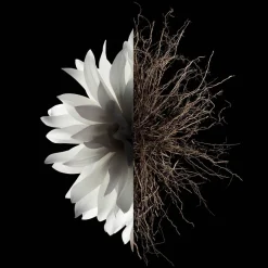 Deodorants Dames^GIVENCHY The Deodorant