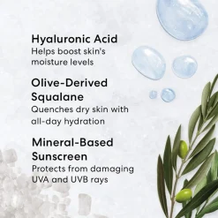 Zonnemake-Up^bareMinerals Tinted Hydrating Gel Cream, Complexion Rescue