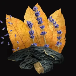 Fris Parfum|Douchegels Heren^Annayake Tomo Set