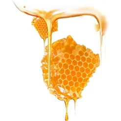 Sheet Maskers^Foreo Ufo Mask Manuka Honey