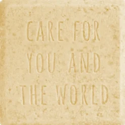 Droog Haar^Sante Naturkosmetik Vaste vochtinbrengende conditioner, Mango & biologische aloë vera