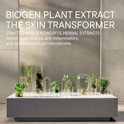 Nachtcrème|Dagcrème^BABOR Vernieuwingscrème