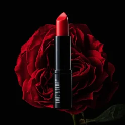 Lippenstift^Lord & Berry Vogue Matte Lipstick